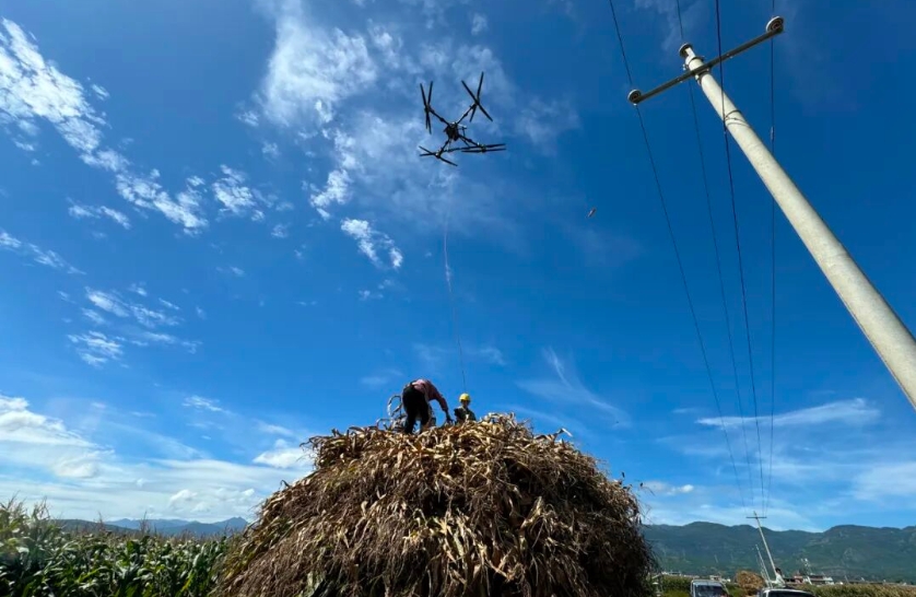 鹤庆县金墩乡利用无人机助力青贮玉米收割